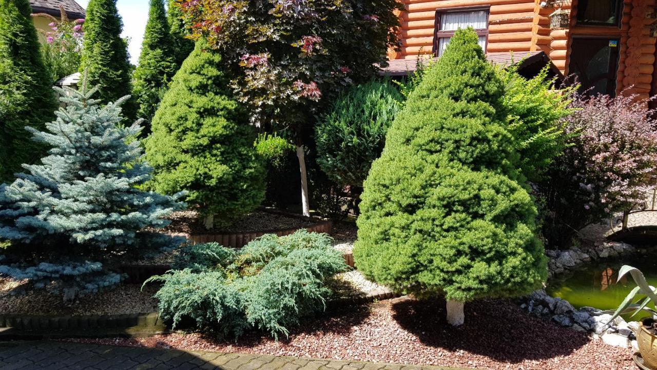 Luxury Villa With Pool And Sauna Chernivtsi Εξωτερικό φωτογραφία